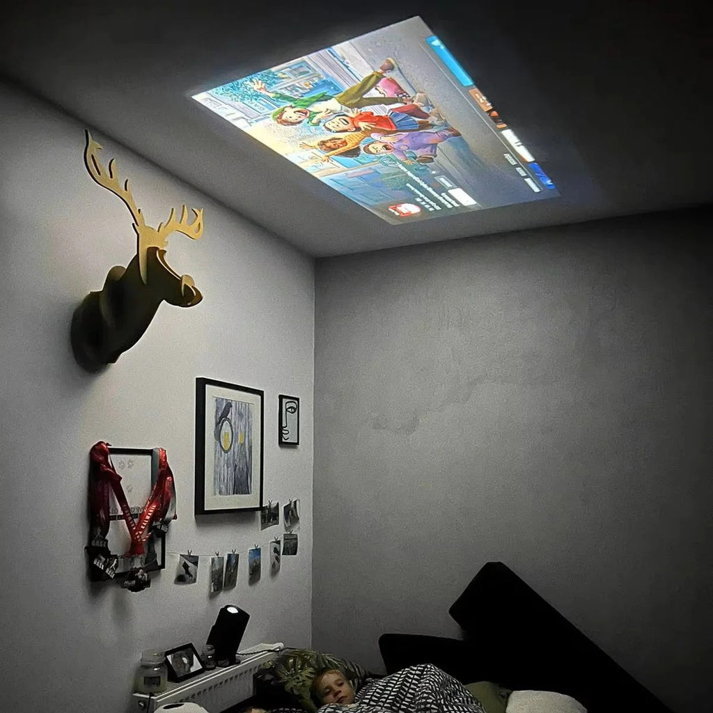 Projecteur pro 180°